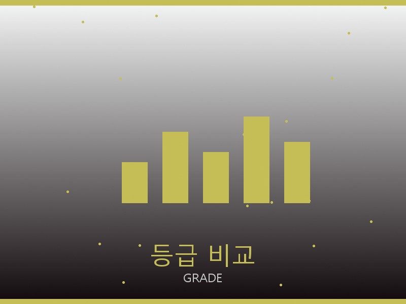 폴로 스콰이어 이스트웨스트 레플리카 등급 기준 비교